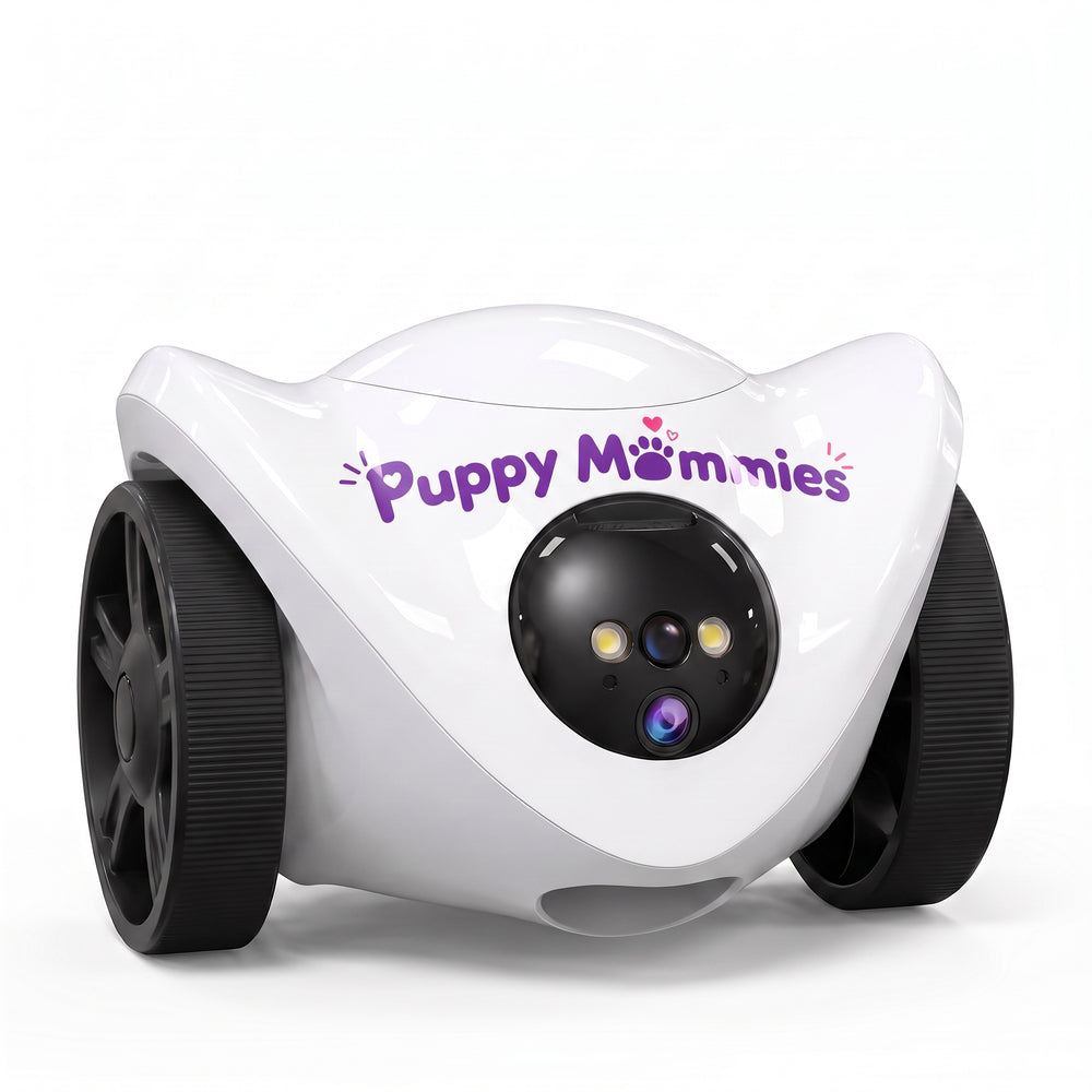 Puppy Mommies Treat-Dispensing Pet Camera
