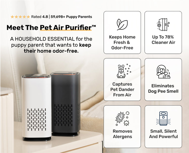 Pet Air Purifier™