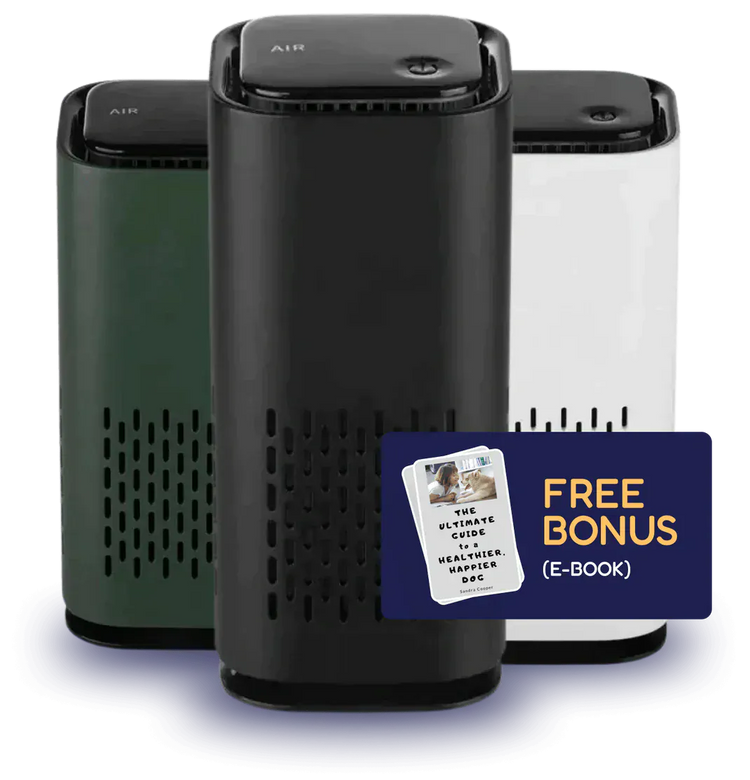 Pet Air Purifier — desktop lifestyle