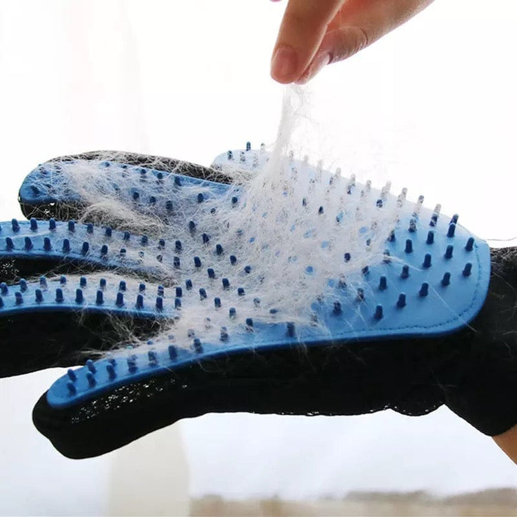 The Grooming Glove